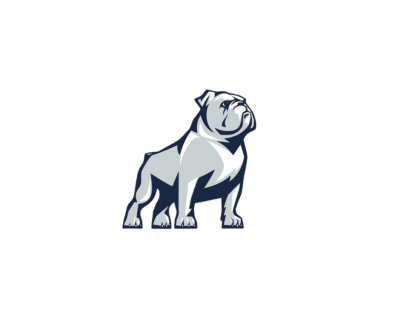psms logo.png