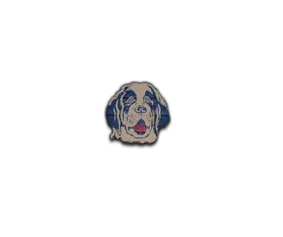 DMS LOGO.png